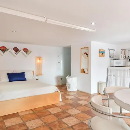 Apartment Loft La Petite *